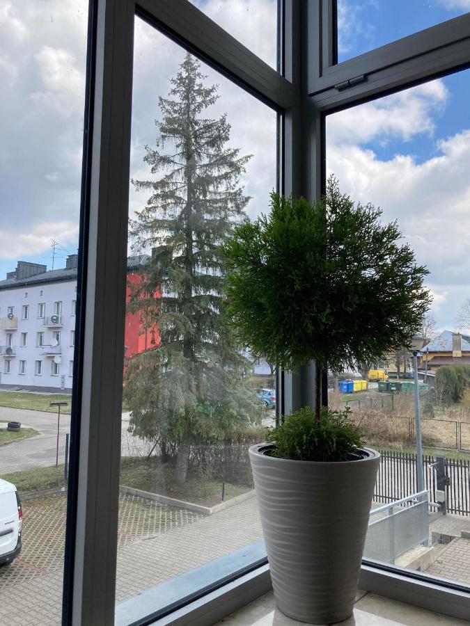 Apartament Miodowa 9 즈비에지니에츠 외부 사진